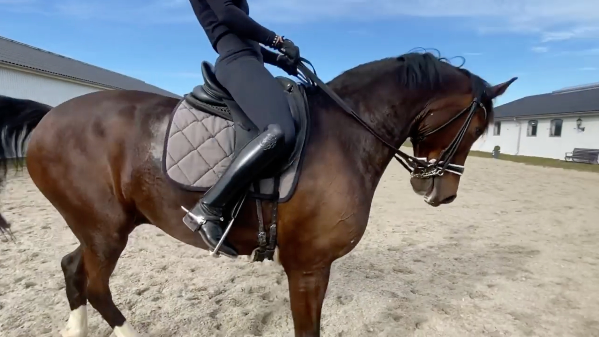 Sunny-Outdoor-Training